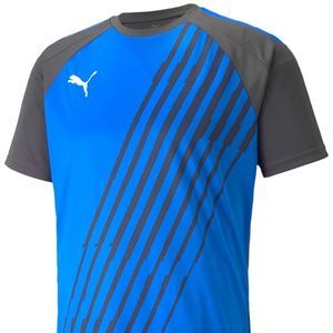 Puma Men’s team Graphic Soccer T-Shirt